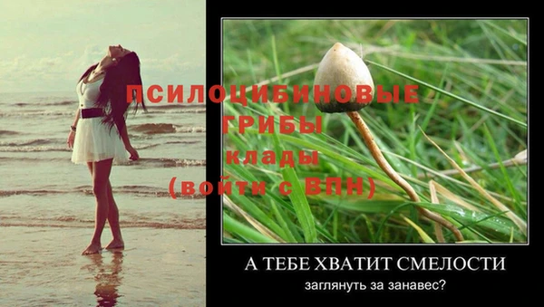 кристаллы Ельня