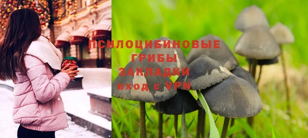 кристаллы Ельня
