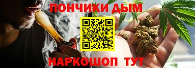 мет Дубна