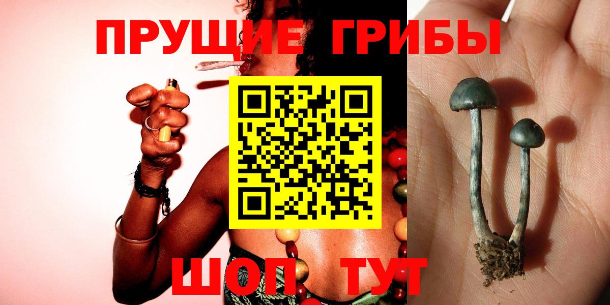 Галлюциногенные грибы Psilocybe  Галлюциногенные грибы ЛСД  Вход с VPN  купить   Ишимбай 